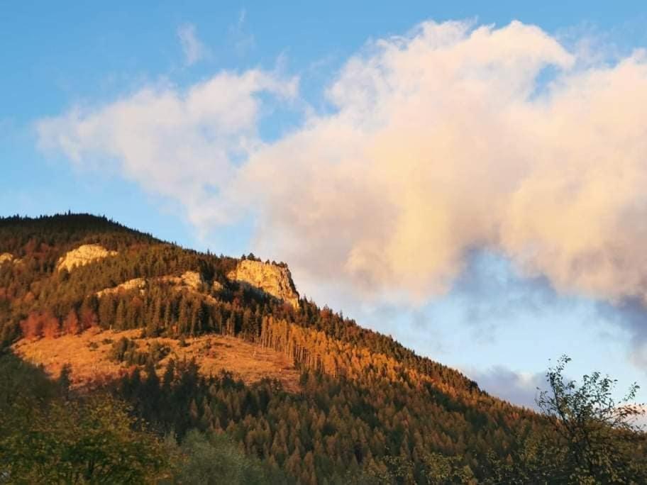 Apartmánový dom Adas Prosiek Exterior foto
